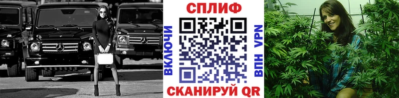 Бошки марихуана Bruce Banner  Отрадное 